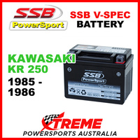 SSB Powersport 12V Kawasaki KR250 KR 250 85-86 105 CCA V-Spec Battery VTX4L-BS
