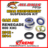 50-1080 Can Am Renegade 800 XXC 2012-2014 Rear Independent Suspension Kit