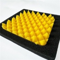 Funnelweb AJP PR 7 Air Filter 2015-2024 Air Filter