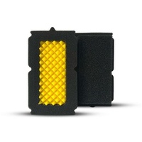 Funnelweb Ducati Desert X 2022-2025 Air Filter