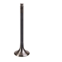Vertex Steel Valve Exhaust  for BETA RR450 4T 2005-2009