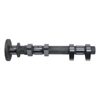 Hot Cams Stage 2 Camshaft Exhaust for Polaris 1000 RZR RS1 2019
