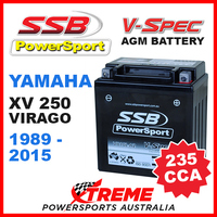 SSB 12V V-SPEC DRY CELL 235 CCA AGM BATTERY YAMAHA XV250 XV 250 VIRAGO 1989-2015