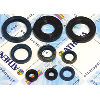 Athena 43.P400220400251 Husqvarna CR 250 1991-1996 Engine Seal Kit