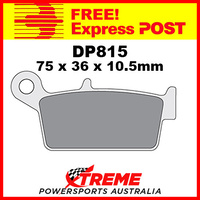 DP Brakes TM SM 250 2002 Sintered Metal Rear Brake Pad