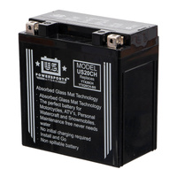 USPS AGM Battery for BMW K1600GTL 2017-2024