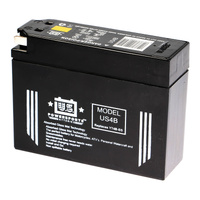 USPS AGM Battery for Yamaha XVS250 Dragstar 2001-2004