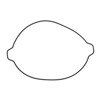 Pro-X Outer Clutch Cover Gasket for KTM 125 XC-W 2017-2019