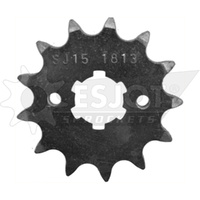 ESJOT 13 Tooth Standard Front sprocket for Yamaha TT-R 125 L 2000-2008