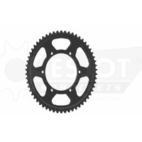 ESJOT 58 Tooth Steel Rear Sprocket for Aprilia RS4 125 2011-2015