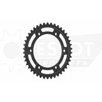 ESJOT 42 Tooth Steel Rear Sprocket for Yamaha FZ8 N 2011-2015