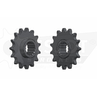 ESJOT 15 Tooth Standard Front sprocket for Aprilia Shiver 900 2017-2021