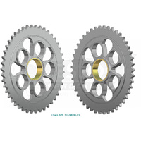 ESJOT 45 Tooth Steel Rear Sprocket for Ducati 1000 Monster S2R 2006-2008