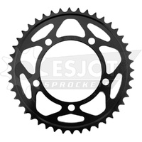 ESJOT 44 Tooth Steel Rear Sprocket for BMW S 1000 RR 2009-2018