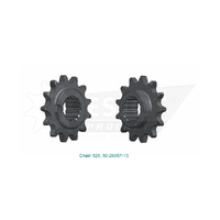 ESJOT 13 Tooth Standard Front sprocket for Indian FTR 1200 R Carbon 2019-2020