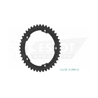ESJOT 42 Tooth Steel Rear Sprocket for Kawasaki Ninja H2R 2015-2024