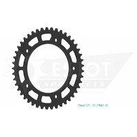 ESJOT 45 Tooth Steel Rear Sprocket for Indian FTR 1200 R 2021-2022
