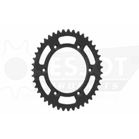 ESJOT 43 Tooth Steel Rear Sprocket for Suzuki DR-Z 400 S 2000-2004