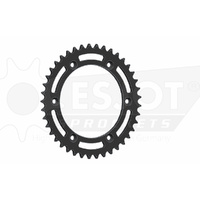 ESJOT 41 Tooth Steel Rear Sprocket for Sherco 250 SEF Factory 2016-2020