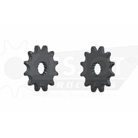 ESJOT 12 Tooth Standard Front sprocket for GasGas EC 125 Six Days 2010-2011