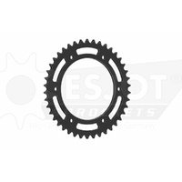 ESJOT 42 Tooth Steel Rear Sprocket for Aprilia Pegaso 650 Factory 2007-2010