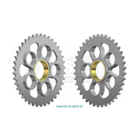 ESJOT 40 Tooth Steel Rear Sprocket for Ducati 800 Monster S2R 2005-2007