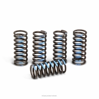 Pro Circuit Clutch Springs for Yamaha YZ250F 2001-2013