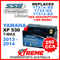 SSB 12V 290 CCA Yamaha XP530 T-Max 2013-2014 LFP14H-BS Lithium Battery