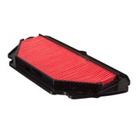 Air Filter for Kawasaki ZX6R 30th ANNIVERSARY SPECIAL EDITION-EFFA 2015