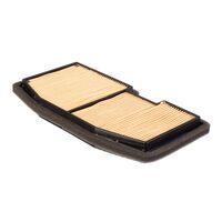 Air Filter for Triumph STREET TRIPLE R 2017