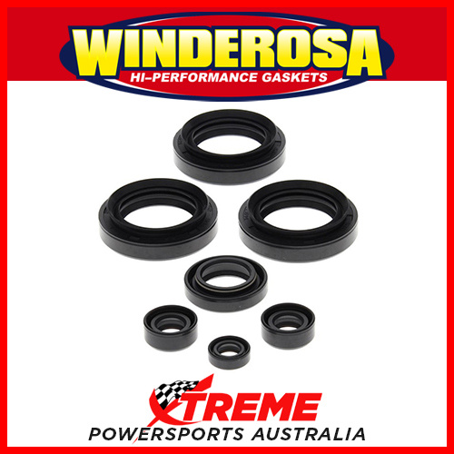 Engine Seal Kit Arctic Cat AC300 2x4 1998-2005 Winderosa 822145