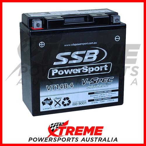 SSB 12V V-SPEC DRY CELL 310 CCA AGM YAMAHA XVS1100A V-STAR CLASSIC 2000-2013