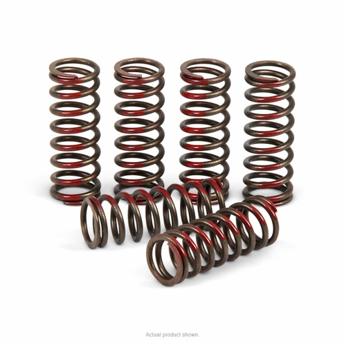 Pro Circuit Clutch Springs for Honda CR250R 1992-2007