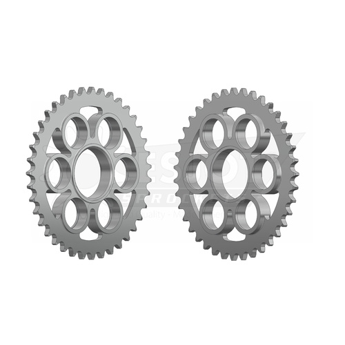 ESJOT 39 Tooth Steel Rear Sprocket for Ducati 1299 Panigale S 2015-2017