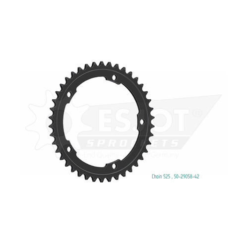 ESJOT 42 Tooth Steel Rear Sprocket for Kawasaki Ninja H2 2015-2024