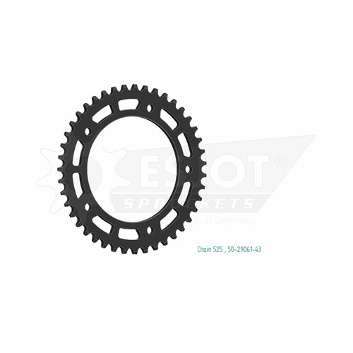ESJOT 43 Tooth Steel Rear Sprocket for Indian FTR 1200 R 2021-2022